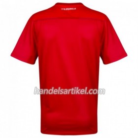 Peru Auswärts Trikotsatz Copa América 2019